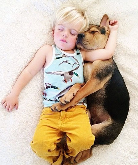 ������������ʵ�����ѣ���ת��ɱ���Թ��������