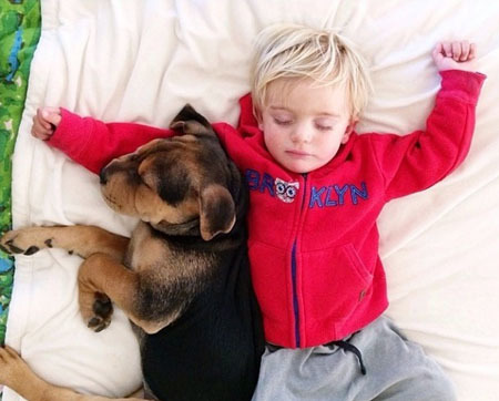 ������������ʵ�����ѣ���ת��ɱ���Թ��������