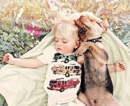 ������������ʵ�����ѣ���ת��ɱ���Թ��������