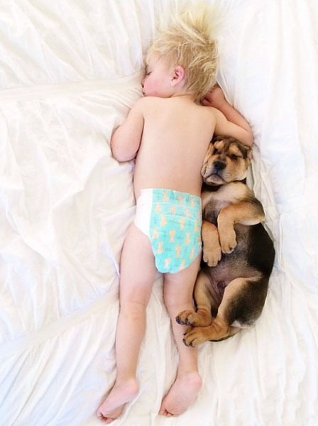 ������������ʵ�����ѣ���ת��ɱ���Թ��������