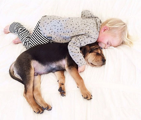 ������������ʵ�����ѣ���ת��ɱ���Թ��������