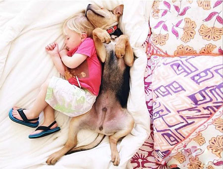 ������������ʵ�����ѣ���ת��ɱ���Թ��������