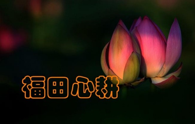 Ϊ������ѧ�߽����������޽��޿�����ѧ