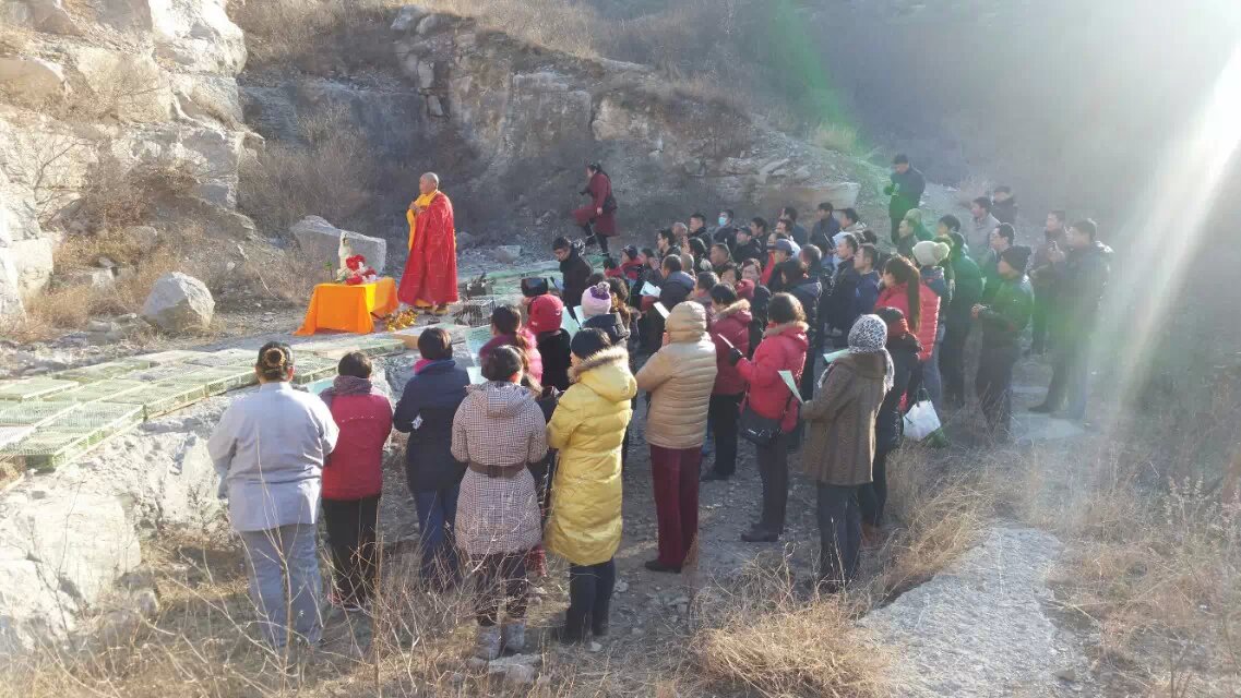 ������շ����ֳ�������