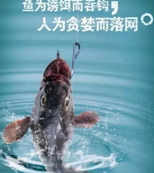 �����Ǽ����̵Ļ_������������