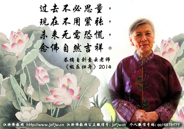 刘素云:在广州经历的所谓第二次死亡 刘素云:在广州经历的所谓第二次死亡