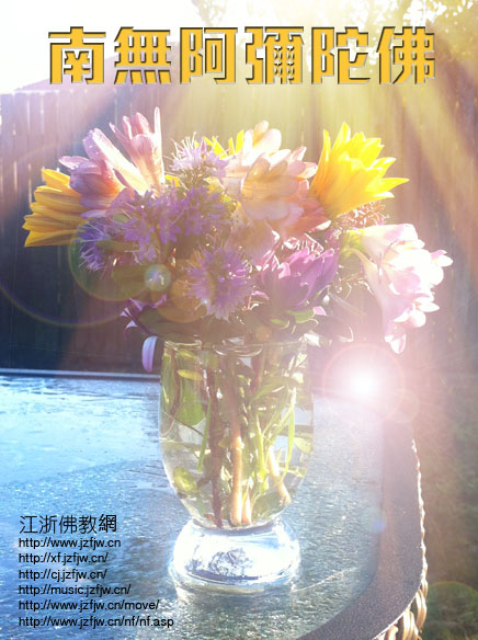 �����������Ź��²���˼�顪����Ů�÷����ӳֵ��漣��������