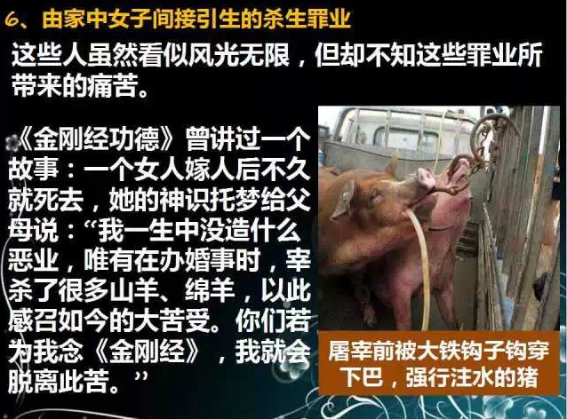 ��ʵ��Ƶͼ�ģ�����8���ߵ�9��Ů�������̱����̫��