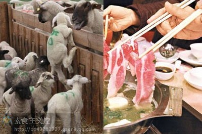 ��ʳ���أ���˭ıɱ����Ľ�����