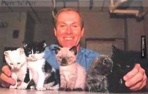 纽约这只猫反复冲进火海5次,只为了…看到的人都落泪了 纽约这只猫反复冲进火海5次,只为了…看到的人都落泪了