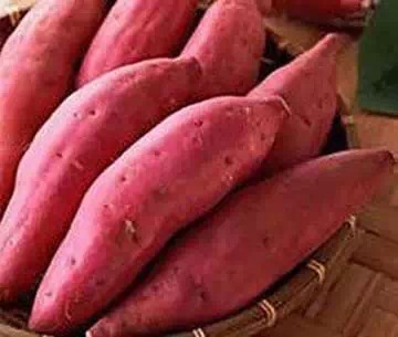 ����ÿ�����֢����_ԭ��������й�