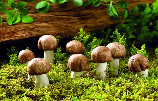 医生透露的秘密:肾虚第一杀手竟然是....一定要少吃! 医生透露的秘密:肾虚第一杀手竟然是....一定要少吃!