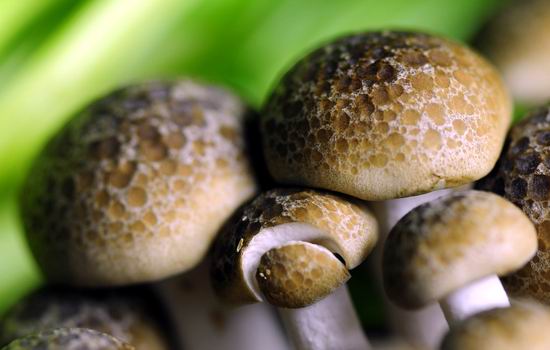 医生透露的秘密:肾虚第一杀手竟然是....一定要少吃! 医生透露的秘密:肾虚第一杀手竟然是....一定要少吃!