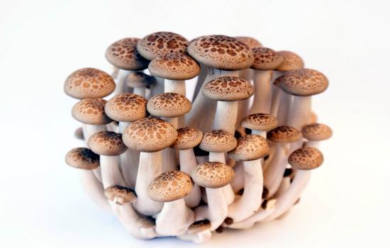 医生透露的秘密:肾虚第一杀手竟然是....一定要少吃! 医生透露的秘密:肾虚第一杀手竟然是....一定要少吃!