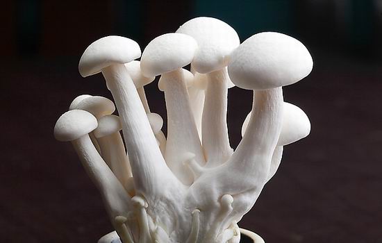 医生透露的秘密:肾虚第一杀手竟然是....一定要少吃! 医生透露的秘密:肾虚第一杀手竟然是....一定要少吃!