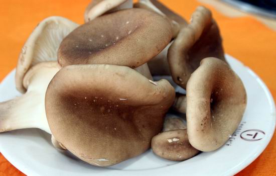 医生透露的秘密:肾虚第一杀手竟然是....一定要少吃! 医生透露的秘密:肾虚第一杀手竟然是....一定要少吃!