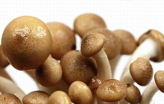 医生透露的秘密:肾虚第一杀手竟然是....一定要少吃! 医生透露的秘密:肾虚第一杀手竟然是....一定要少吃!