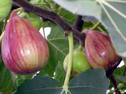 �޻�����Ȼ�ܴ��������Ĵ�����������ţ�