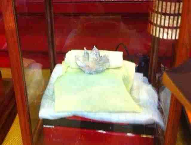 ���۳�������հ��