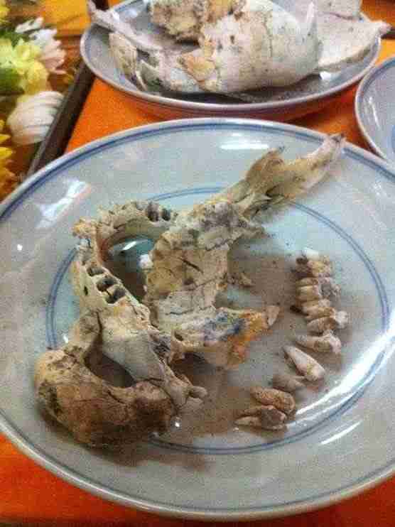 ���۳�������հ��