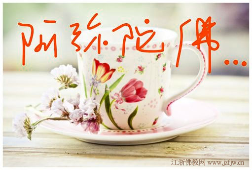 ������£���ɮ���е�����