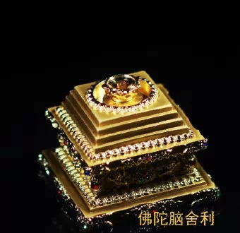 ׳�۵ķ�����_����2015�񸣵ô�����