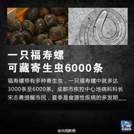 佛说杀生食肉者,常受短命多病身(附惨烈实例) 佛说杀生食肉者,常受短命多病身(附惨烈实例)