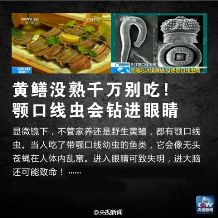 佛说杀生食肉者,常受短命多病身(附惨烈实例) 佛说杀生食肉者,常受短命多病身(附惨烈实例)