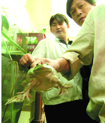 佛说杀生食肉者,常受短命多病身(附惨烈实例) 佛说杀生食肉者,常受短命多病身(附惨烈实例)