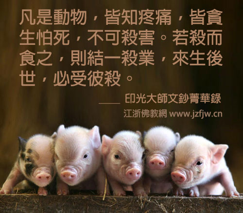 佛说杀生食肉者,常受短命多病身(附惨烈实例) 佛说杀生食肉者,常受短命多病身(附惨烈实例)