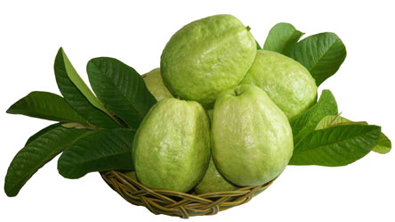 随手扔掉的7种废物竟是宝贝 随手扔掉的7种废物竟是宝贝