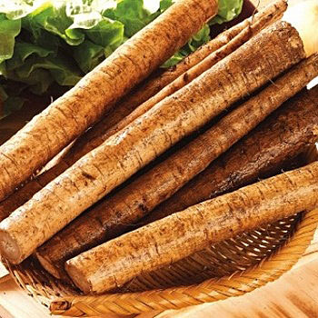 随手扔掉的7种废物竟是宝贝 随手扔掉的7种废物竟是宝贝