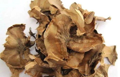 随手扔掉的7种废物竟是宝贝 随手扔掉的7种废物竟是宝贝