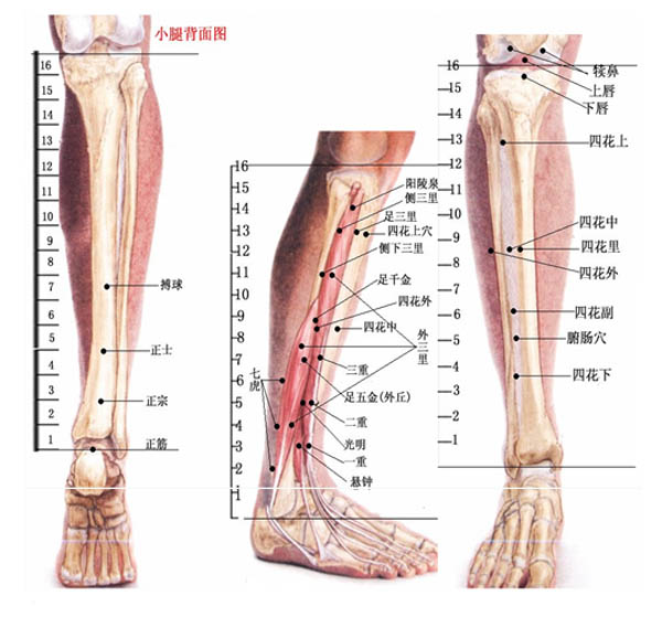 ˫�ȷ�ӳȫ����