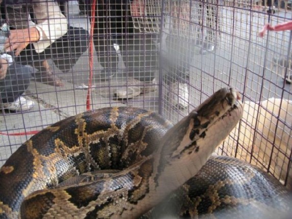 ����!_���߼��帴��Ѫϴ��������..