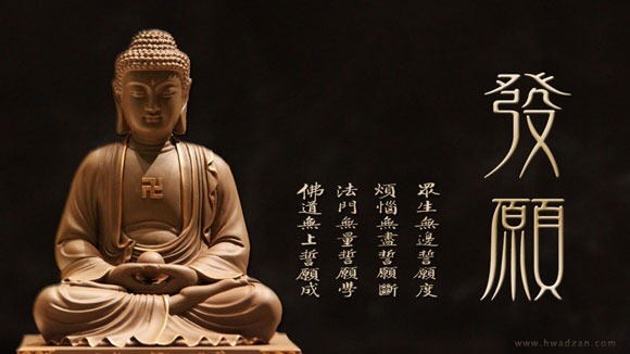 ������ҽ��ʿ��������������ɣ���׵��Ԫ�����˾�����