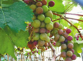 ���н���ʶ��ˮ�����������ܾ����Ķ�ˮ����