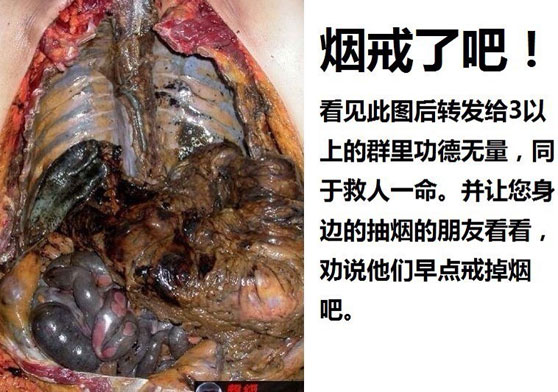 ������ǧ���˵�_��ԭ������...