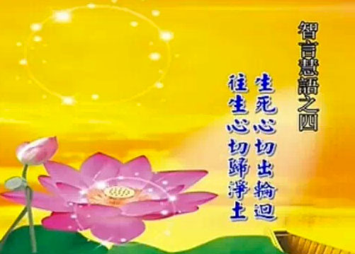 刘素云老师《智言慧语》之四文字档:生死心切出轮回_往生心切归净土(上) 刘素云老师《智言慧语》之四文字档:生死心切出轮回_往生心切归净土(上)