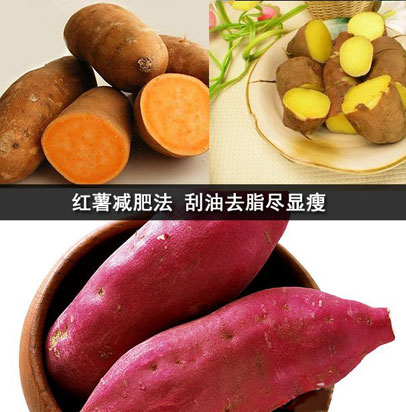 ��ȫ����ʳ�ؾ����������ղ��ϣ�