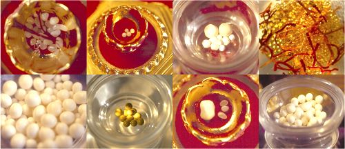 �������γ����ǲ���֮��_Ѫ�����ɷֱ��350����ɫ