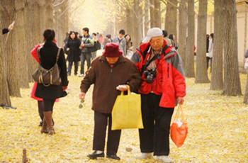 һ�������Ĵ������ϰ�