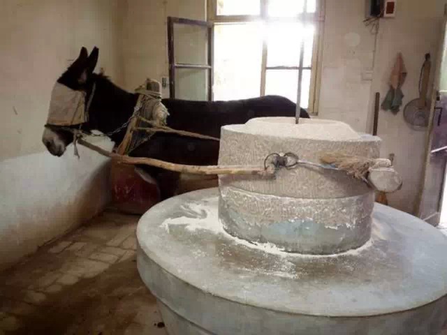 ¿�ĸ���������������