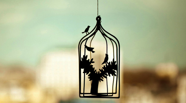 ���Ｊ��������������İ������������Ｊ����д������֢����