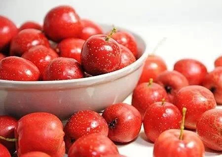 是药三分毒,告诉你哪些是纯天然药(请收藏) 是药三分毒,告诉你哪些是纯天然药(请收藏)