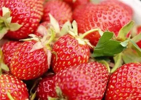 是药三分毒,告诉你哪些是纯天然药(请收藏) 是药三分毒,告诉你哪些是纯天然药(请收藏)