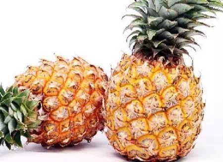 是药三分毒,告诉你哪些是纯天然药(请收藏) 是药三分毒,告诉你哪些是纯天然药(请收藏)