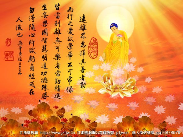 佛眼看爱情:僧人眼中的情人节 佛眼看爱情:僧人眼中的情人节