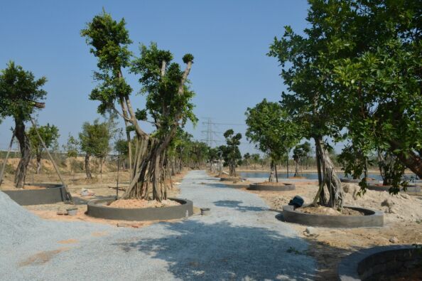 ������һ���ɹ�����Ч���������Ĵ�ͳ�Ļ�����ģʽ