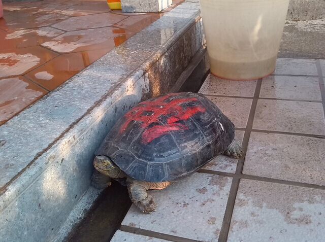 ������һ���ɹ�����Ч���������Ĵ�ͳ�Ļ�����ģʽ